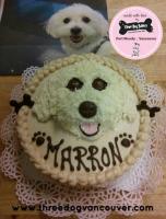 IMG_20150528_122009_wm_wm.jpg