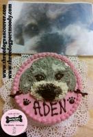 IMG_20150717_164038_wm_wm.jpg